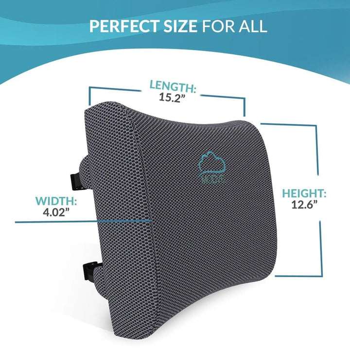 Lumbar Support Posture Corrector for Car, Wheelchair, Desk Chairs. - MODVEL 