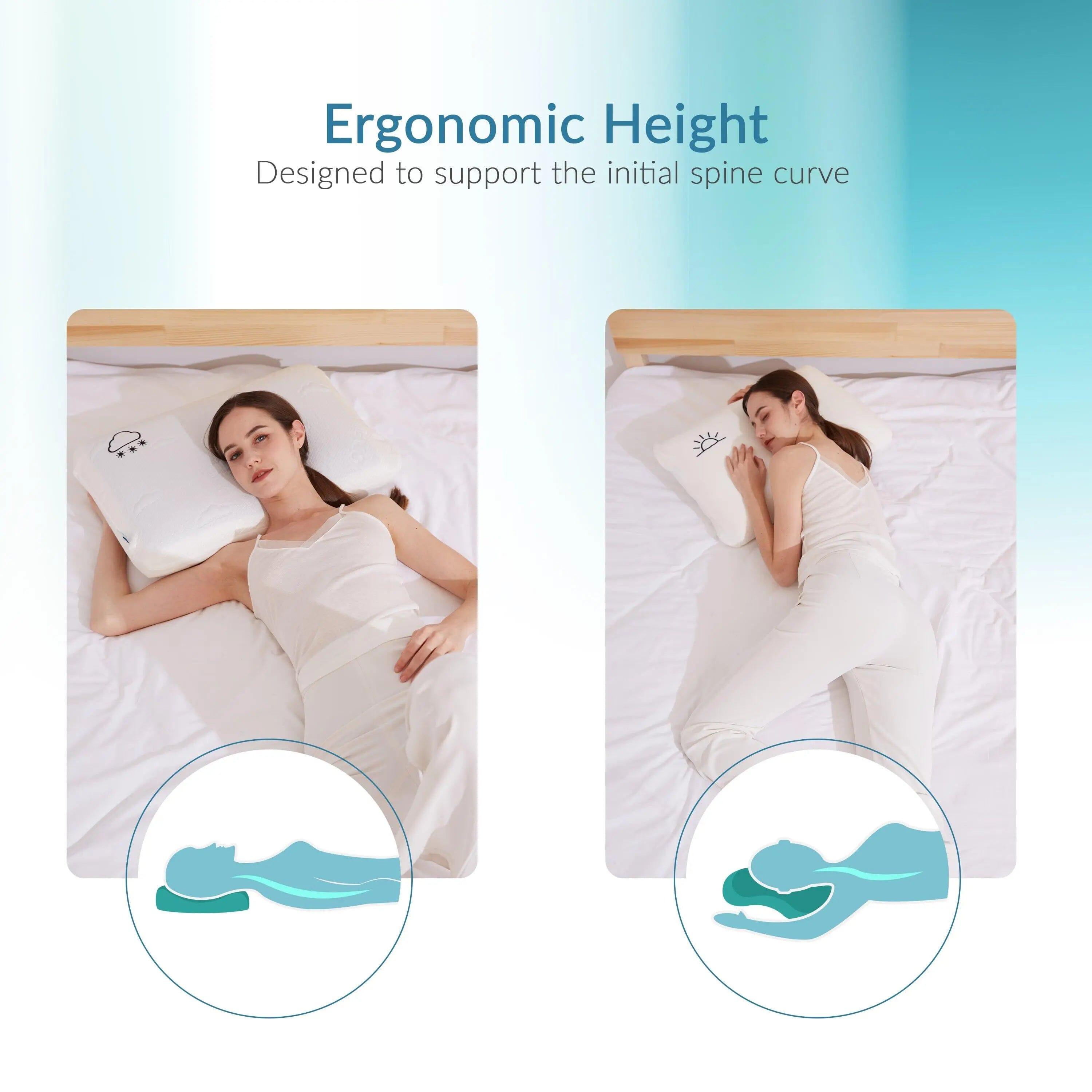 Modvel pillow sales