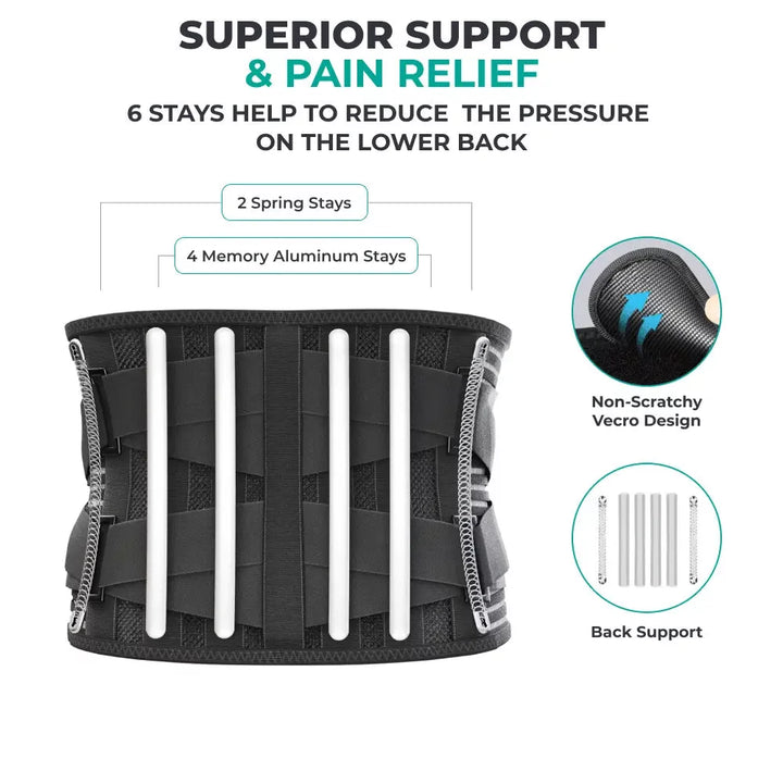 MODVEL Lower Back Brace for Lower Back Pain Relief | Lumbar Support Belt
